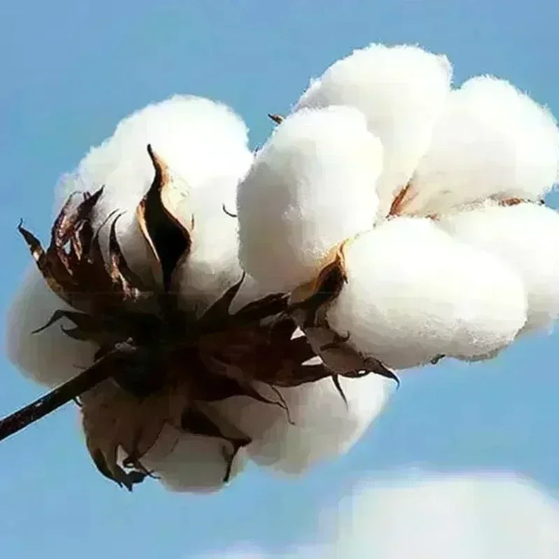 Mens Women Clothes The Neighbourhood Band Printing Sweatshirts Unisex Streetwear Winter Comfortable Hooded New Autumn Pullovers